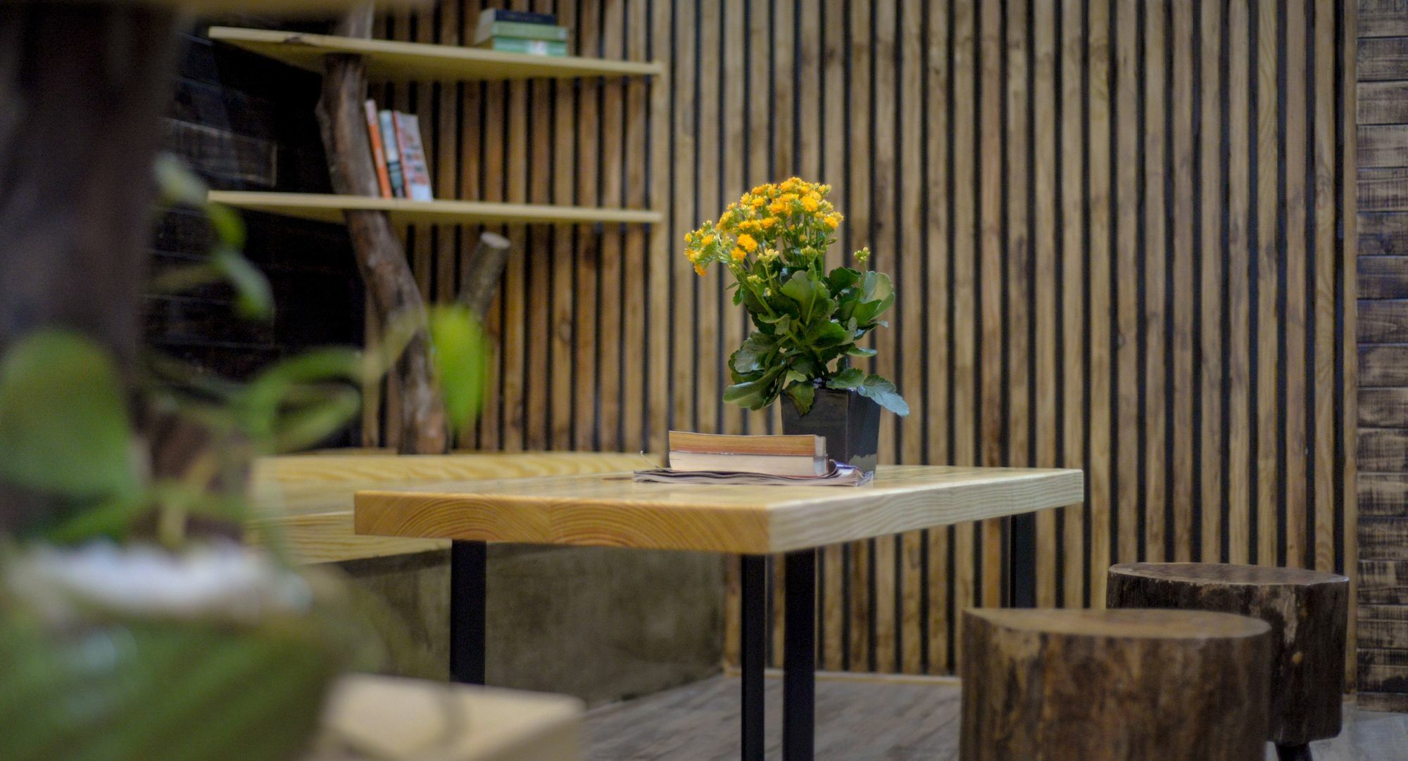 Luci'S House Hostel مدينة هوشي منه المظهر الخارجي الصورة